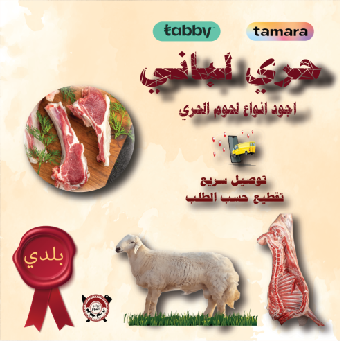 ذبيحة حري بلدي صغير لباني 10 ك