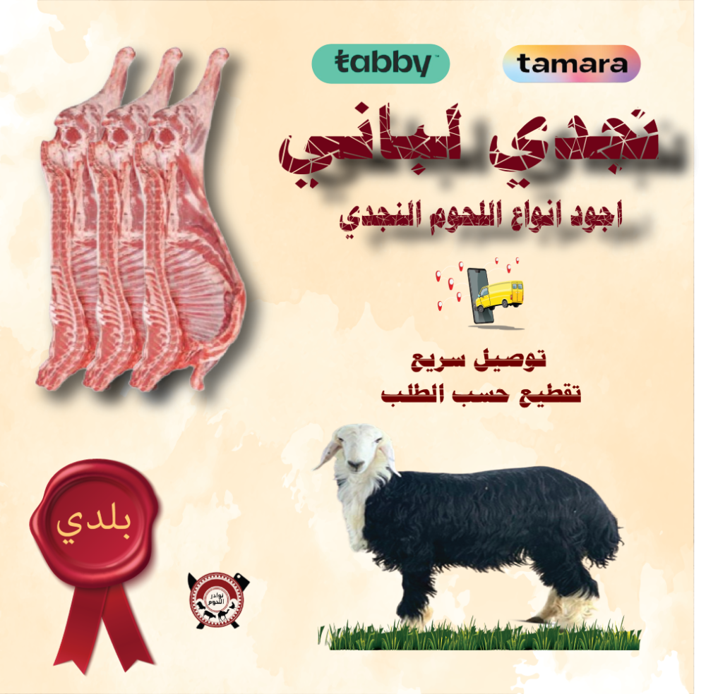 ذبيحة نجدي صغير-لباني ( بلدي ) 10 ك