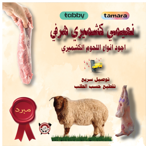 نعيمي كشميري 12 كيلو