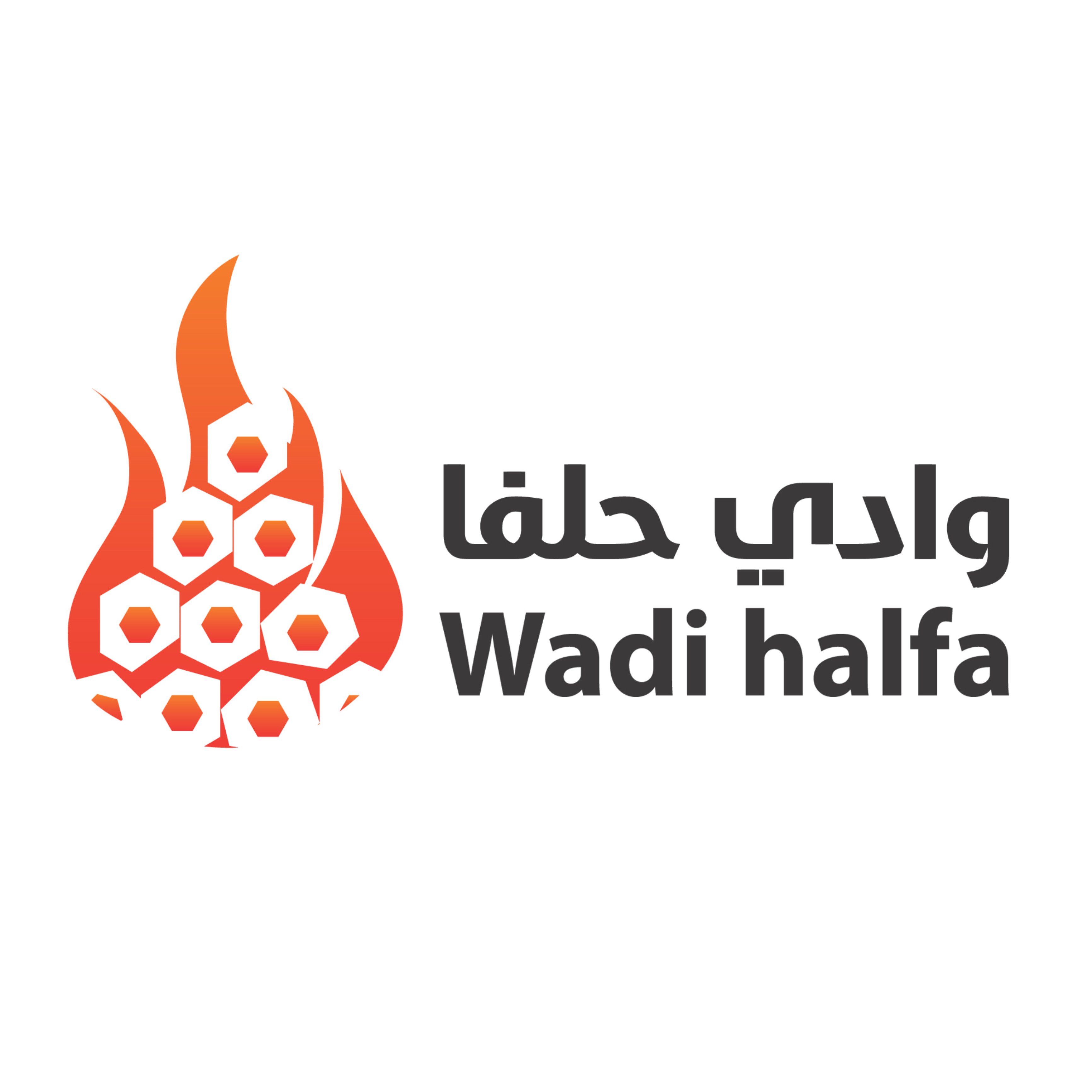 Wadi halfa