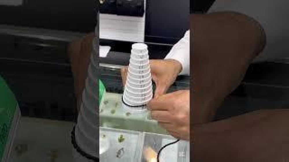 بناجر بديل الذهب عقال فيصل