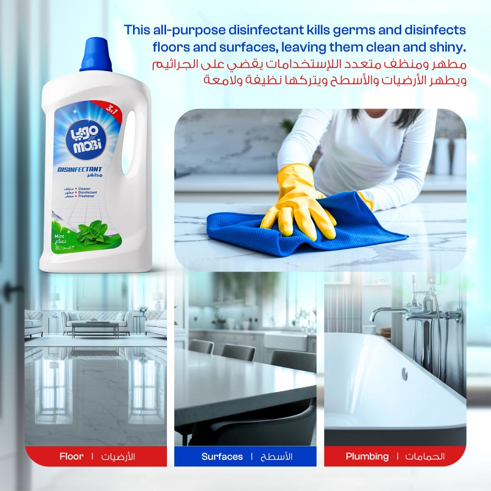 كرتون مطهرات 3 لتر نعناع  4 حبات