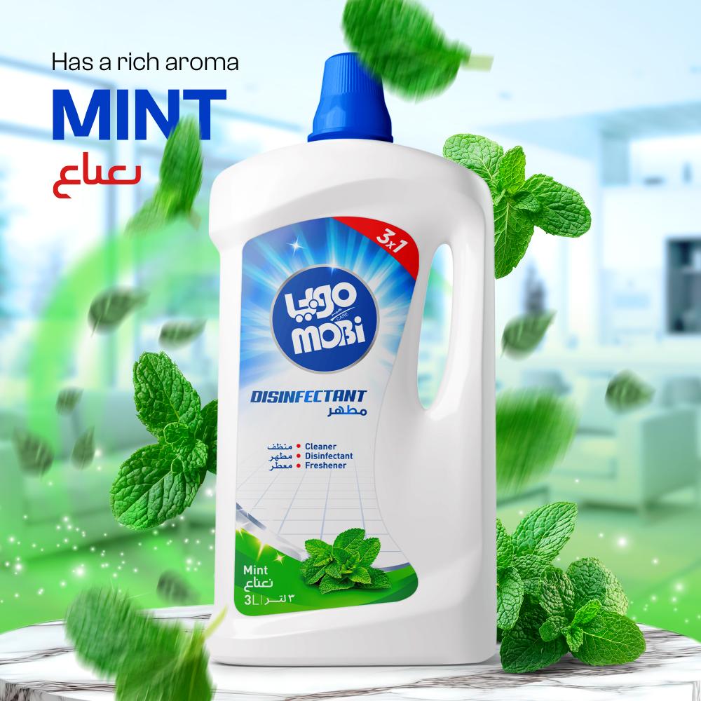 كرتون مطهرات 3 لتر نعناع  4 حبات