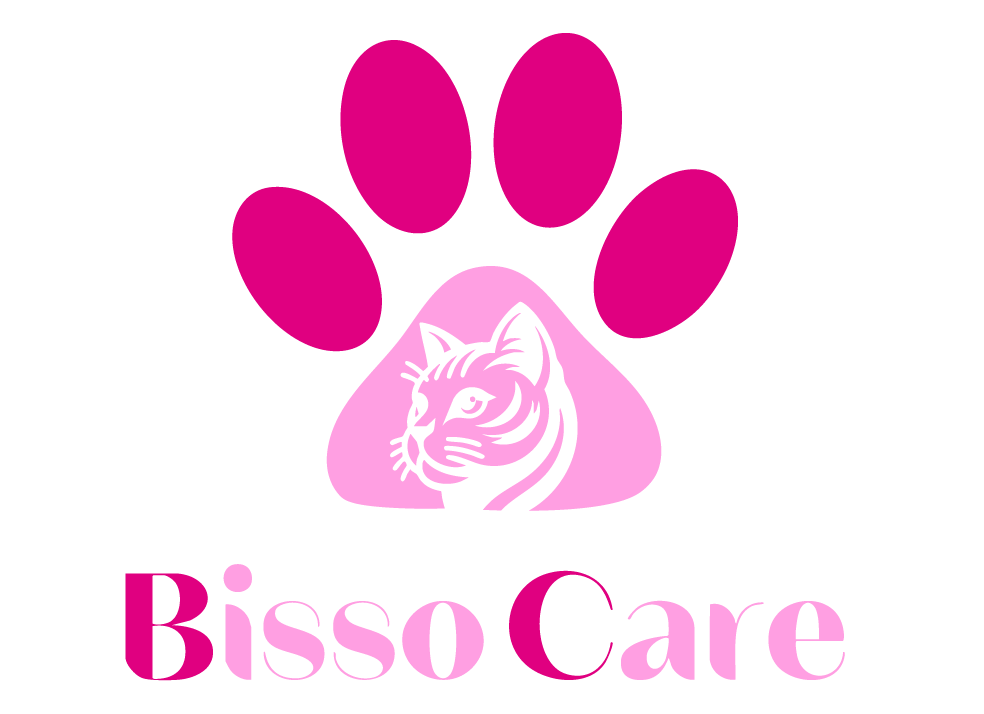 bisso-care.com favicon