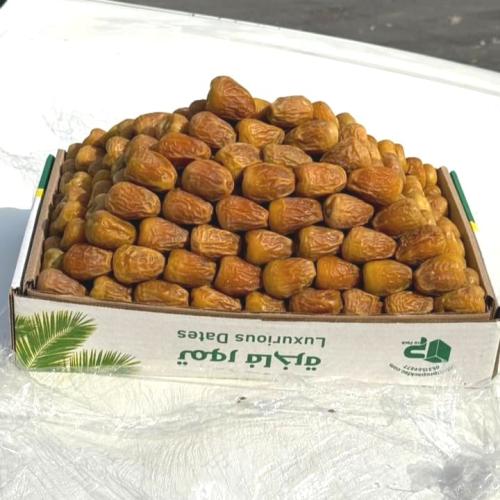 سكري مفتل ملكي
