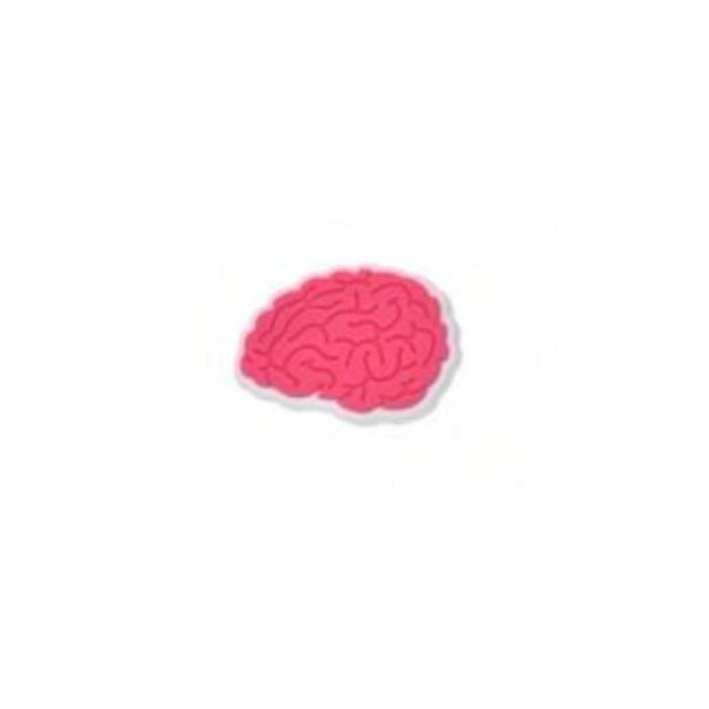 مخ
