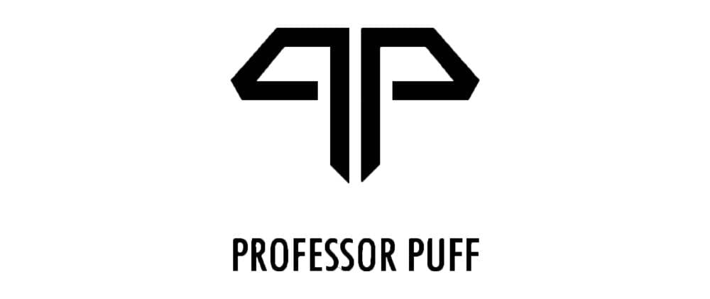 Professor