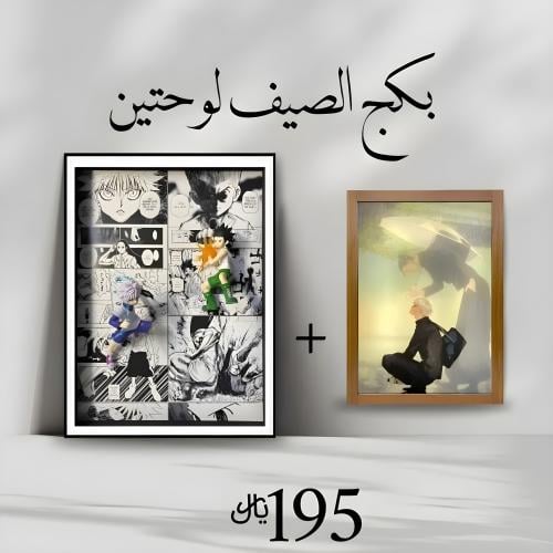 عرض بكج الصيف