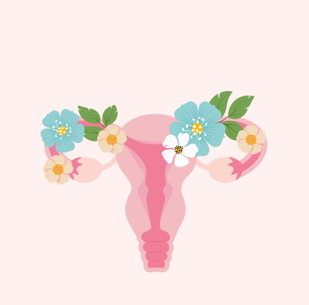 تكيس المبايض (PCOS): الفهم الصحيح لإدارة الأعراض واستعادة التوازن