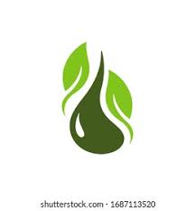 Herb and Oil