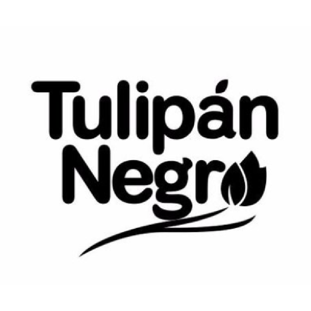 Tulipan Negro