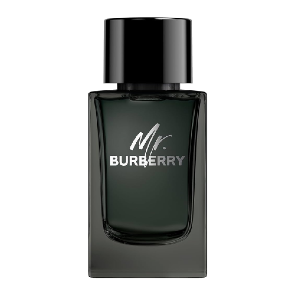 Burberry Mr. Burberry EDP 100 ml