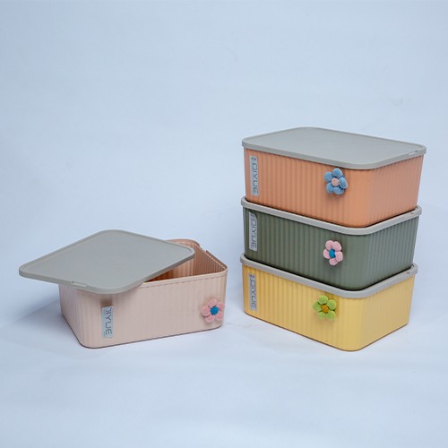 علبة تخزين بلاستيكية