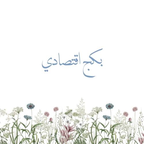 بكج الحفلات الاقتصادي - الثيم حسب الطلب