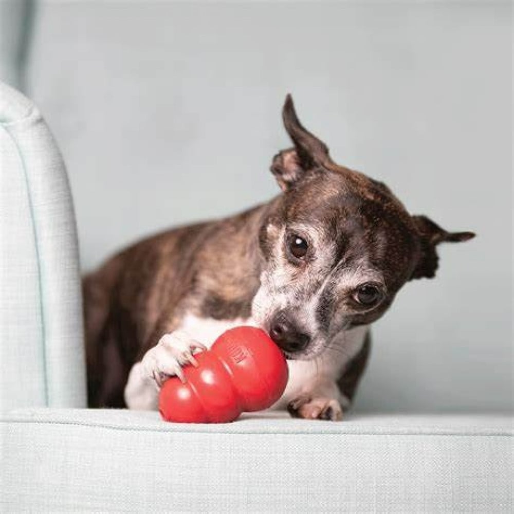 KONG Classic Dog Toy   Durable Chew  Fetch Toy, Small, Red