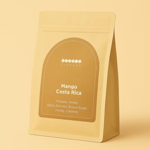 المانجو - كوستاريكا - عسلي 250g