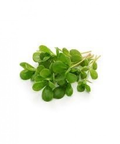 بذور رجلة Purslane Seeds