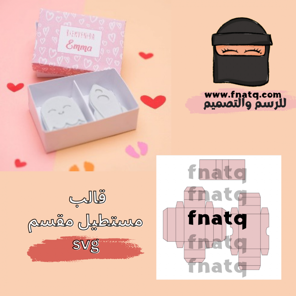 قالب مستطيل مقسم
