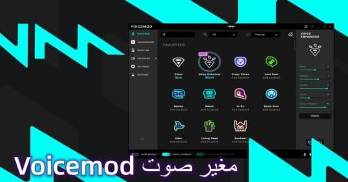 فويس مود