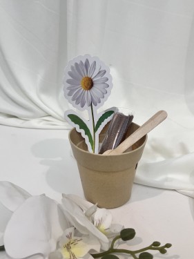 توزيعات ثيم اليوم العربي للبيئة مع بذور