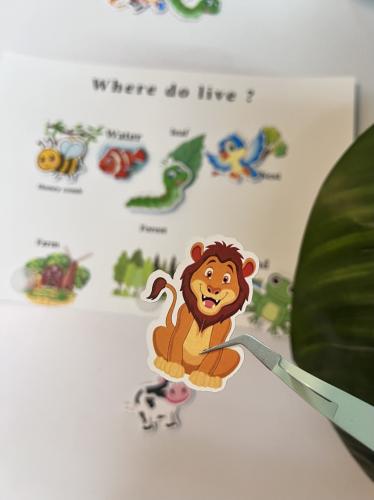 نشاط  للاطفال