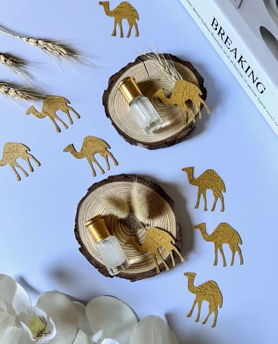 توزيعات شعبية عام الابل