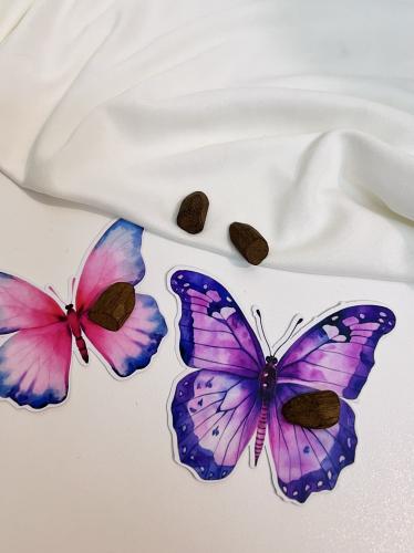 توزيعات العيد