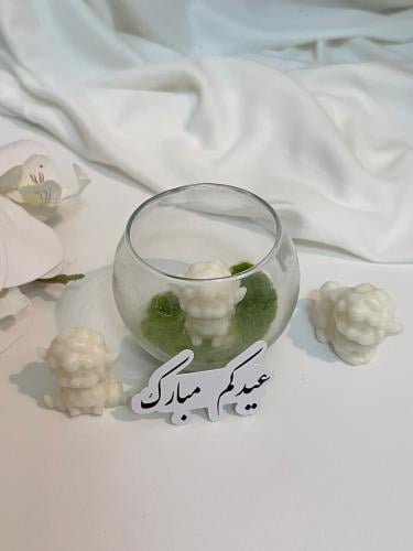 توزيعات خروف ‏الشمعة