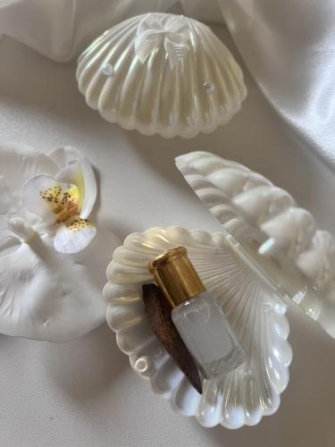 توزيعات صدفة للمناسبات