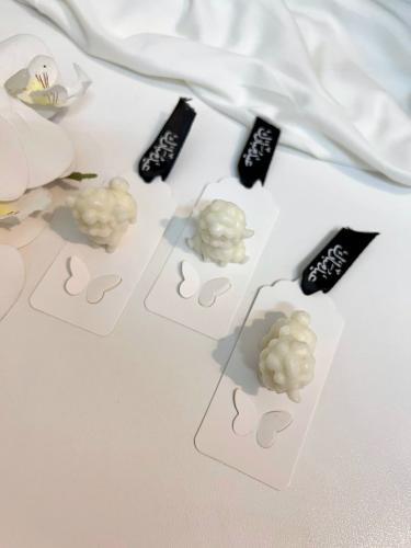 توزيعات العيد