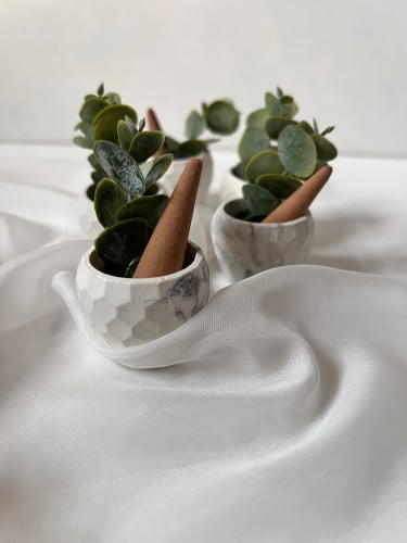 توزيعات قوالب مع بخور