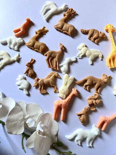 ‏توزيعات اشكال للاطفال