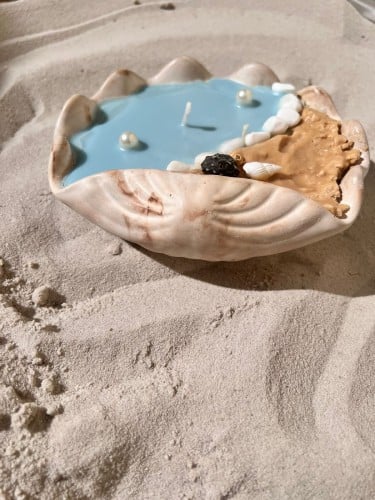 شمعه قوقعة البحر