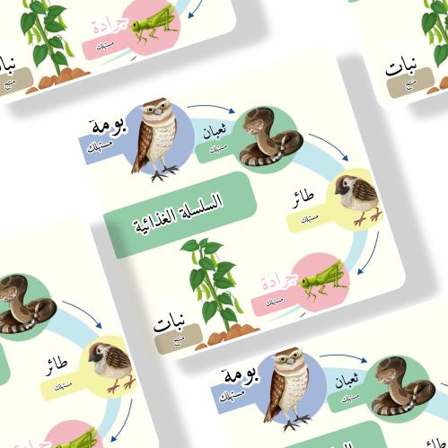 ملف مطويات السلسلة الغذائية جاهزه للطباعة