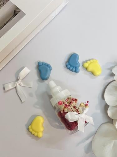 توزيعات مواليد