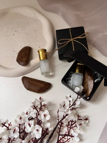 توزيعات بوكس اسود