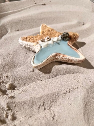 شمعه نجمة البحر