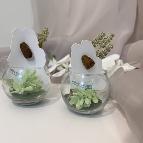 توزيعات فازه