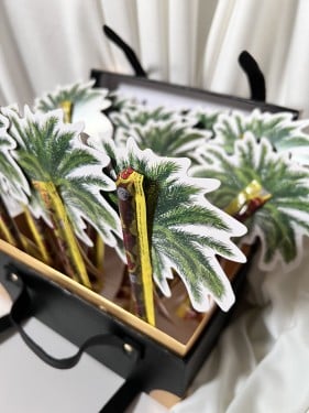 صندوق توزيعات نخلة 12 حبة