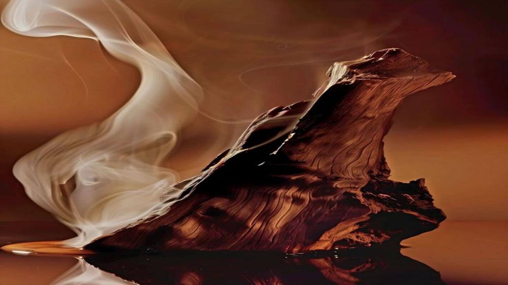 أفضل 6 أنواع عود هندي