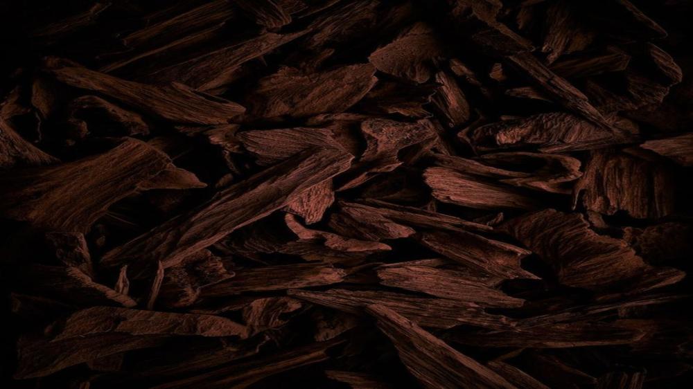 العود المحسن