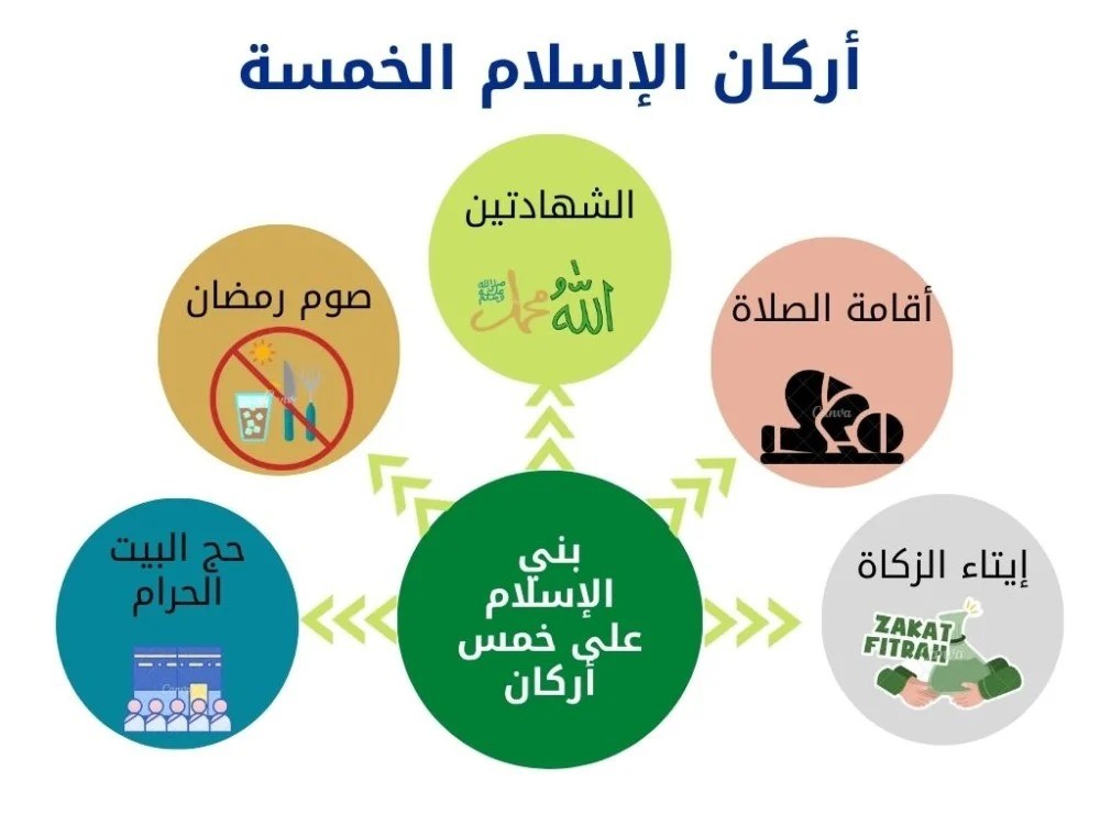 تصاميم مدرسية جاهزة من نتيكنيك-Nteknek في السعودية بافضل سعر
