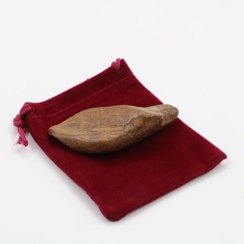 قطعة واحدة من عود الشيوخ