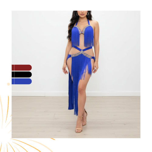 Luxurious and elegant multi-colored belly dance suit