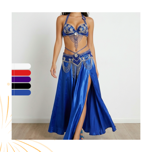 Luxury belly dance costume