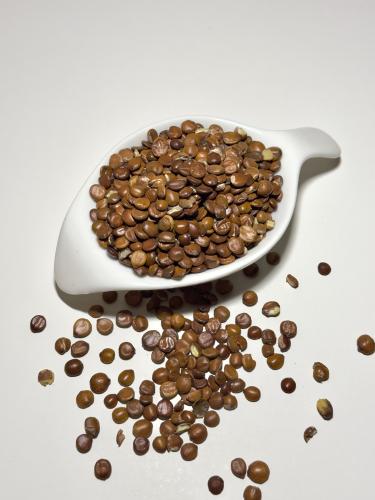 حالول بذور السدر - 100 جرام