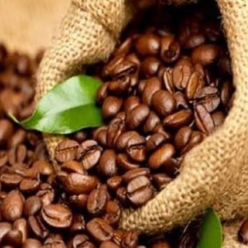 حبوب قهوة اسبريسو ارابيكا 100% بيت القهوة 1 كيلو