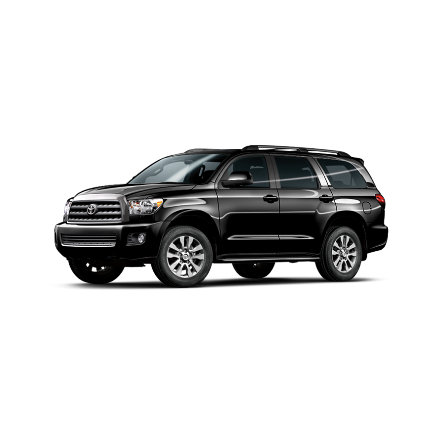 سيكويا sequoia