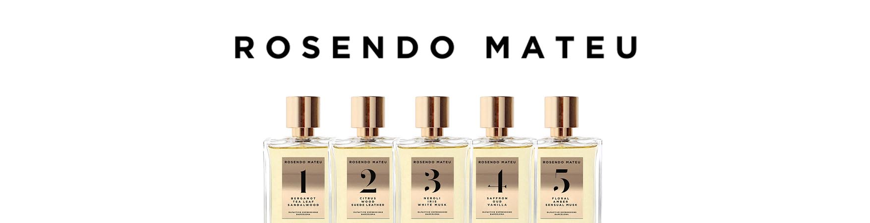 روسيندو ماتيو ROSENDO MATEU