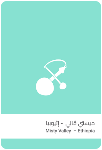 سلالات القهوة اثيوبيا ميستي ڤالي 250ج